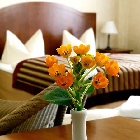 Safestay Berlin Kurfurstendamm-3